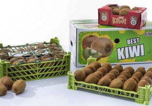 Persian kiwi packaging 